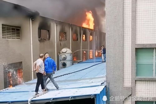 揪心！广东一工艺品厂突发大火，浓烟如黑云遮天蔽日，数公里外清晰可见